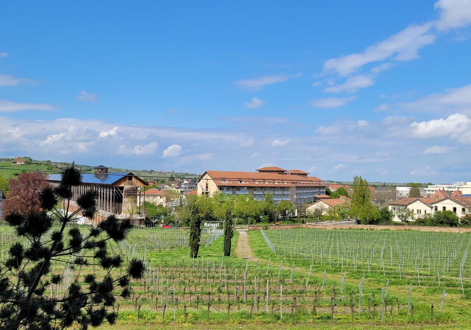 Ihr Bett Mit Blick Auf Die Weinberge 巴特迪克海姆 外观 照片
