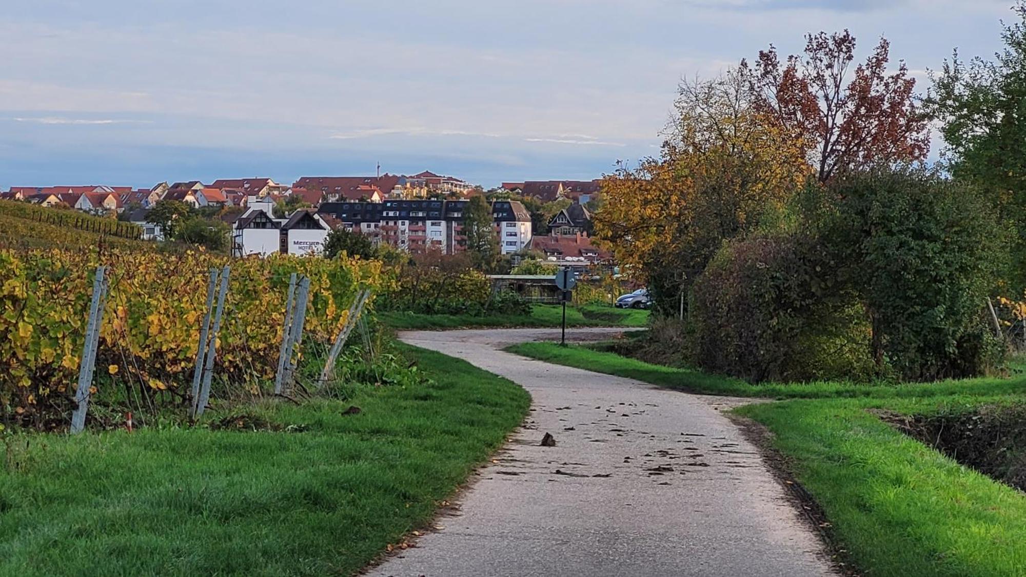 Ihr Bett Mit Blick Auf Die Weinberge 巴特迪克海姆 外观 照片