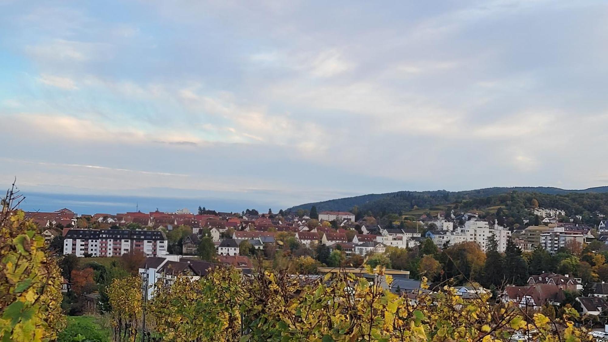 Ihr Bett Mit Blick Auf Die Weinberge 巴特迪克海姆 外观 照片
